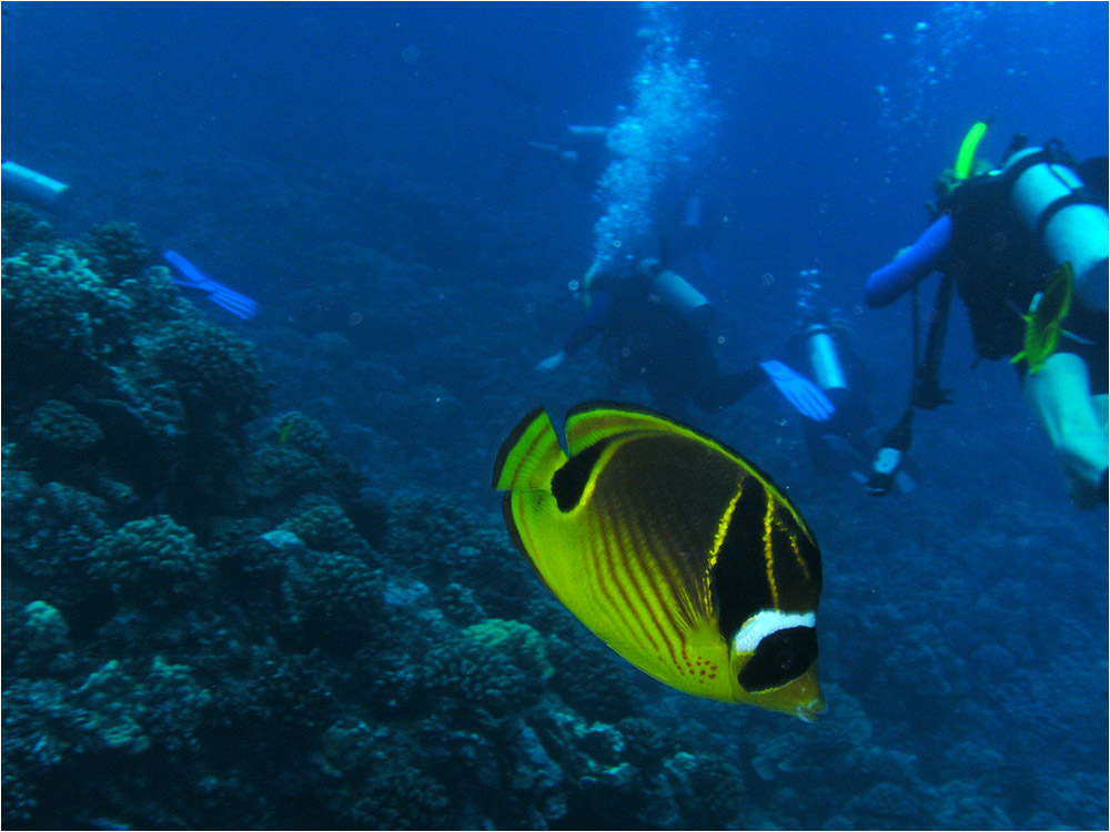 Molokini