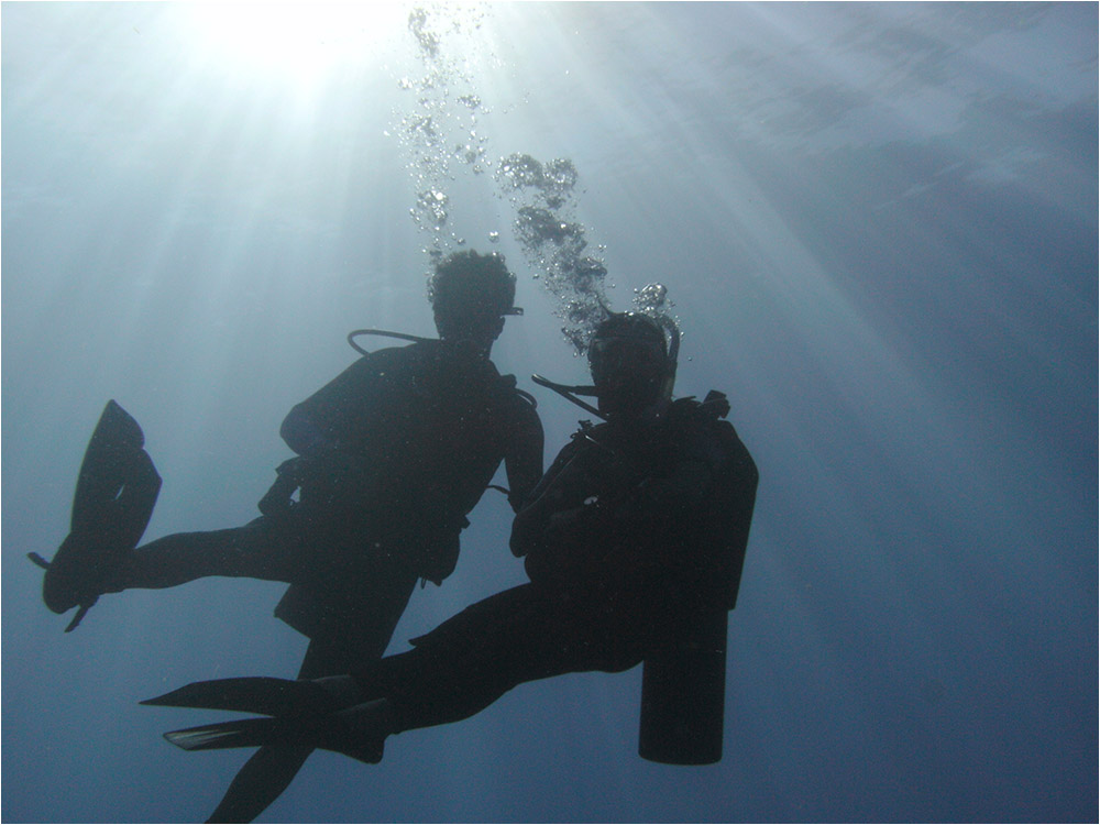 Divers