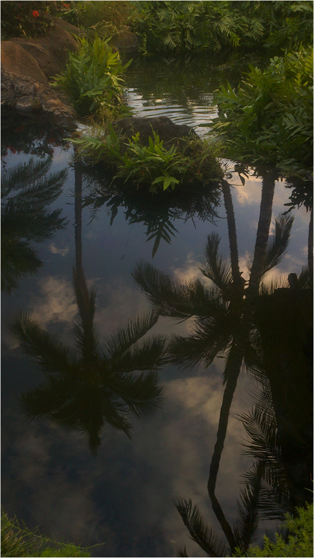 Reflections